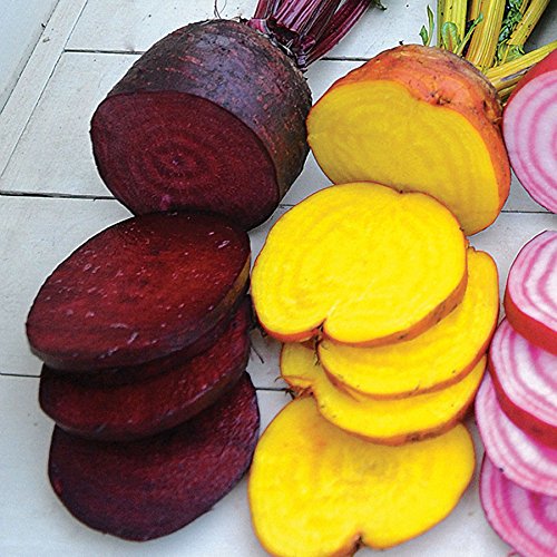 BeeT✩.*˚ Beet It Sport Nitrate 400 - Box of 15 Shots – Blonyx US